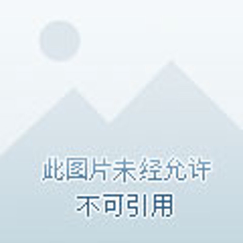 解码枝江企业贷款攻略：助你乘风破浪